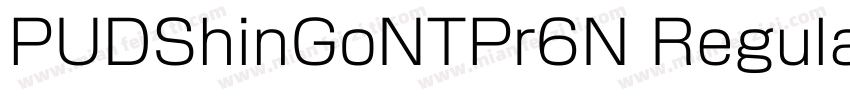 PUDShinGoNTPr6N Regular字体转换
